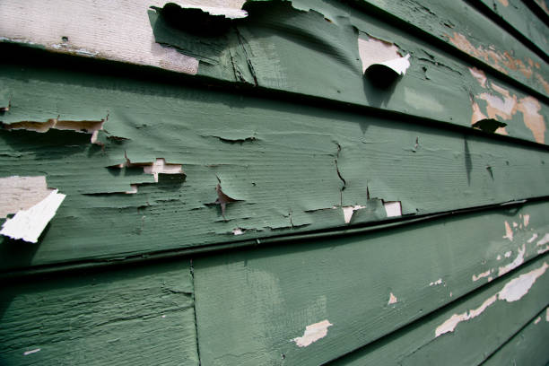 Affordable siding repair and maintenance services in Delcambre, LA