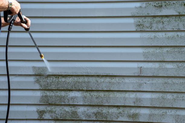 Affordable siding repair and maintenance services in Delcambre, LA