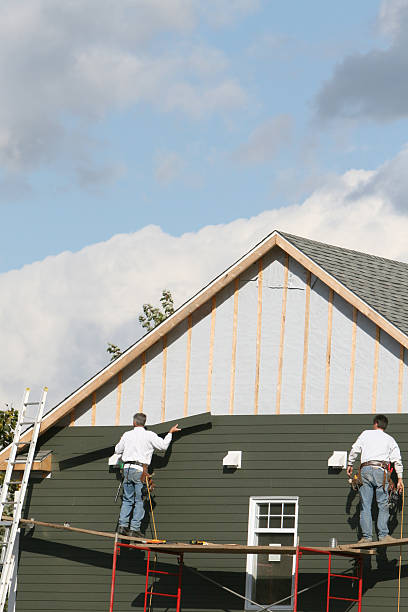 Best Custom Trim and Detailing for Siding  in Delcambre, LA