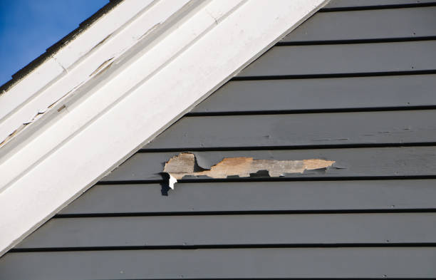 Best Storm Damage Siding Repair  in Delcambre, LA