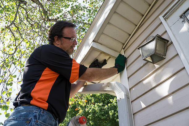 Best Siding for New Construction  in Delcambre, LA