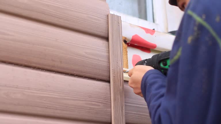 Best Brick Veneer Siding  in Delcambre, LA